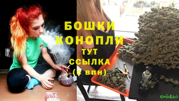spice Приозерск