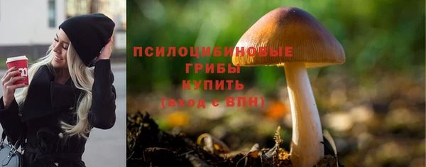 spice Приозерск