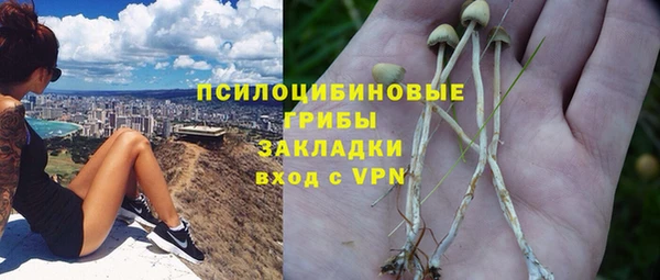 spice Приозерск
