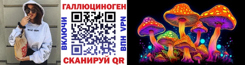 kraken ONION  Славск  Галлюциногенные грибы MAGIC MUSHROOMS 
